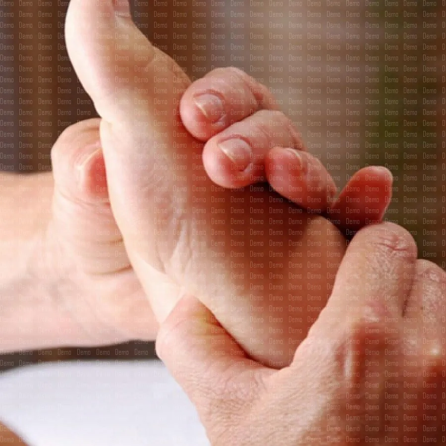 header7